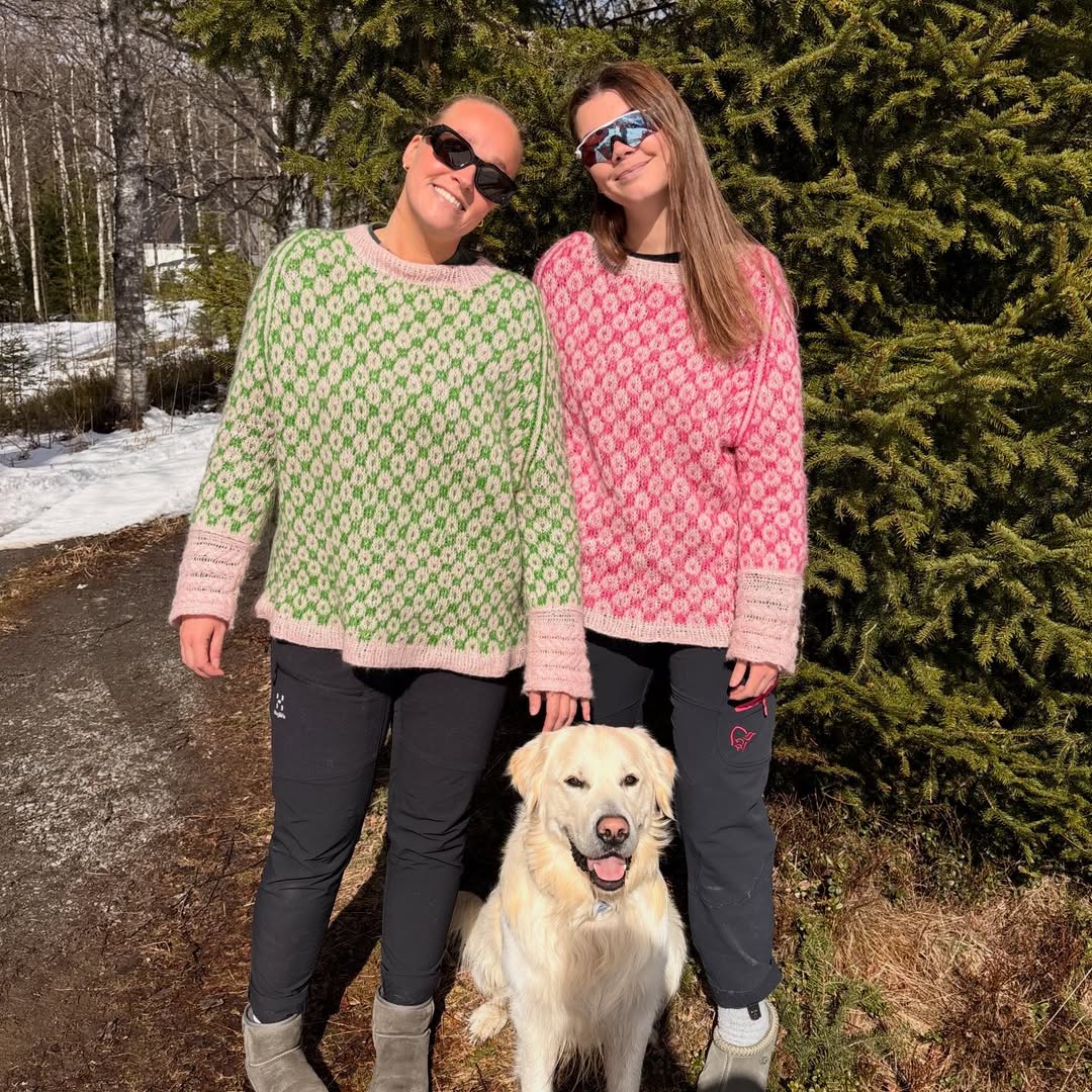 Fabel Sweater Knitting Pattern